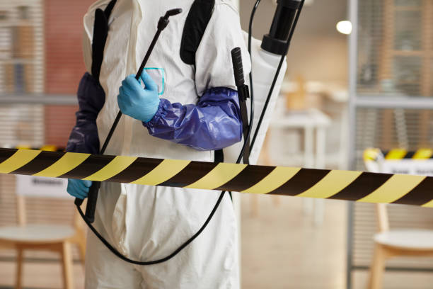 Professional Sewage Cleanup technician working in Utica, MI